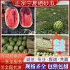 宁夏特产红梅石缝瓜购销部的一亩田店铺