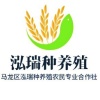 曲靖市马龙区泓瑞种养殖农民专业合作社的一亩田店铺