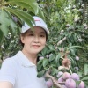 杨仕玉的一亩田店铺
