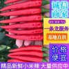 朱朋威的一亩田店铺