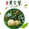 小胡黄金梨代办处的一亩田店铺