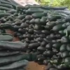 李开放的一亩田店铺