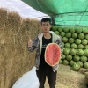 优鲜甜专业代发团队的一亩田店铺
