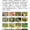 广西万宇农资有限公司的一亩田店铺