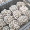 廖意梅种养植合作社的一亩田店铺