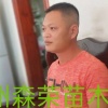 森荣苗木种植农民专业合作社的一亩田店铺