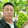 席晓光的一亩田店铺