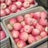 张亚珍的一亩田店铺