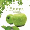 尤继华的一亩田店铺
