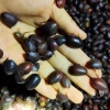 山东佰益鑫农农业生物有限公司的一亩田店铺