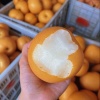 沃洋果蔬合作社的一亩田店铺