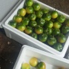盘锦锦辉农业有限公司的一亩田店铺