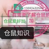 鸿江宠物养殖的一亩田店铺
