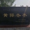 黄骅明鑫冬枣代办的一亩田店铺