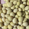 安徽方圆豆业的一亩田店铺