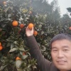 浩阳家庭农场的一亩田店铺