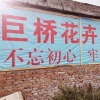 鹤壁市淇滨区巨桥花卉基地的一亩田店铺