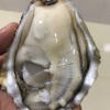 啊强生蚝批发的一亩田店铺