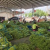 万昌蔬菜批发行的一亩田店铺