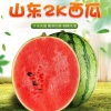山东源产地果蔬供应链的一亩田店铺