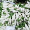 兄弟农场的一亩田店铺