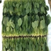 鼎源果蔬种植专业合作社的一亩田店铺