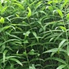 兴顺和农业合作社的一亩田店铺