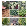 豫宛新野县蔬菜种植机地的一亩田店铺
