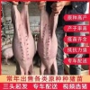佳旺养殖场的一亩田店铺