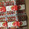 李集草莓种植专业合作社的一亩田店铺