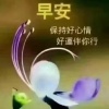 桂花味精的一亩田店铺