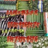 山东沂南蔬菜批发代收的一亩田店铺