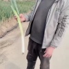 金士良大葱独头蒜批发的一亩田店铺
