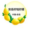 安岳县柠铭柠檬专业合作社的一亩田店铺