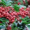 陈二哥蔬菜代收的一亩田店铺