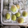 李珂的一亩田店铺