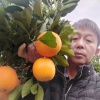 秀山柳英农业专业合作社的一亩田店铺