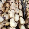 锦秀藕业的一亩田店铺