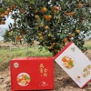 陈孔承的一亩田店铺