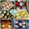海南乐东县穆三鲜之果果业的一亩田店铺