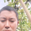 旺丰种养专业合作社的一亩田店铺