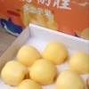 姚逸辰的一亩田店铺