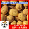 内蒙古天勤农产品贸易公司的一亩田店铺