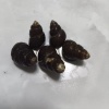一盘鲜水产经营部的一亩田店铺
