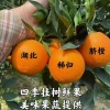 凯冠电子商务的一亩田店铺