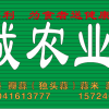 李仲的一亩田店铺