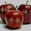 张再兰的一亩田店铺