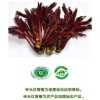 山东朐信农业发展有限公司的一亩田店铺