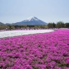 辽宁凯威园艺花卉苗圃的一亩田店铺