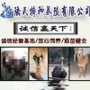 陆氏养殖有限公司的一亩田店铺